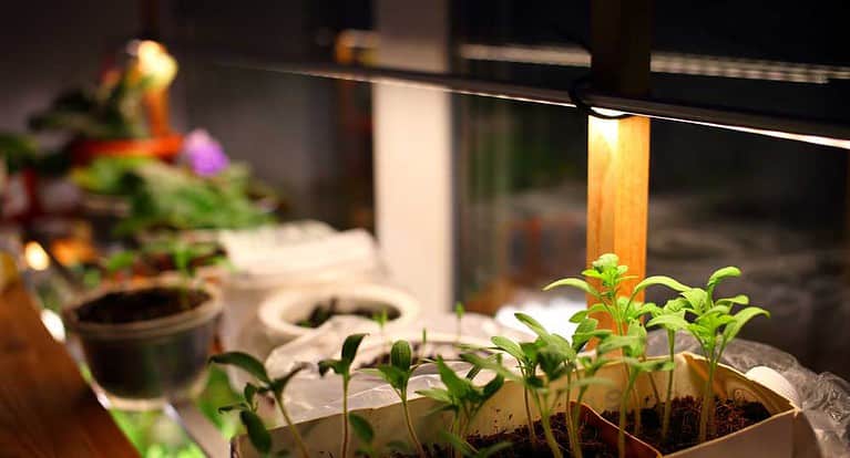 An LED grow light