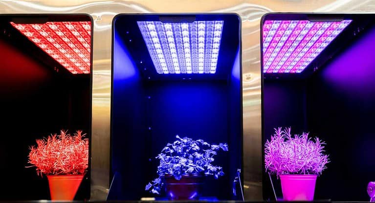 Growing plants using spectrum LED grow lights