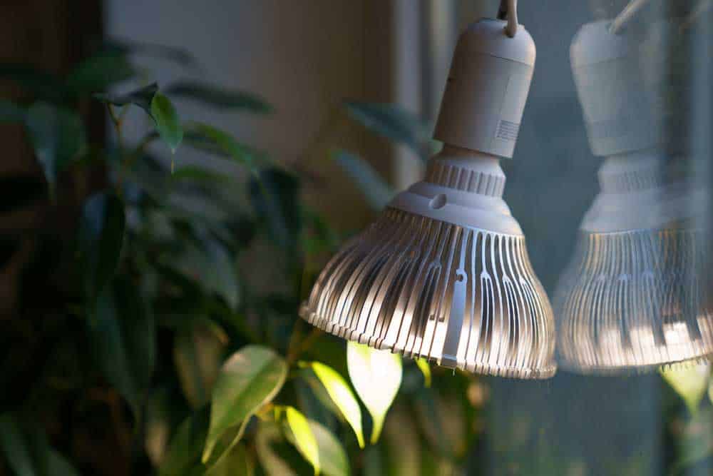 Single LED bulb grow lights