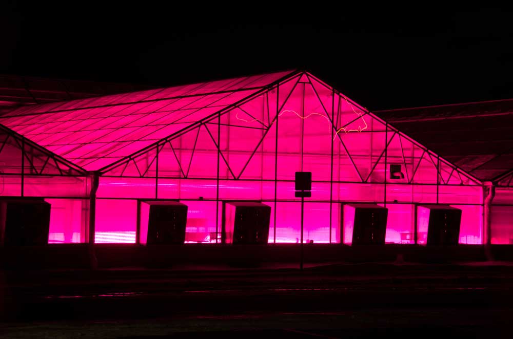 An outside view of a greenhouse at night