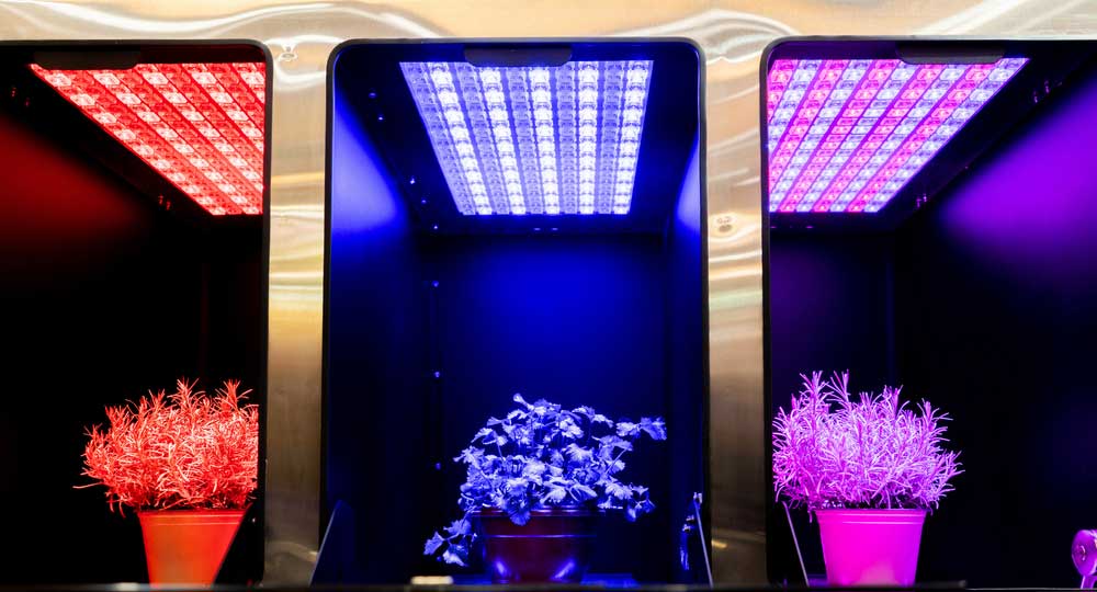 Colorful LED grow light