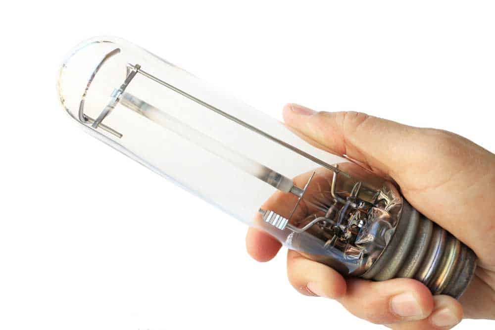 A person holding a high-intensity discharge bulb