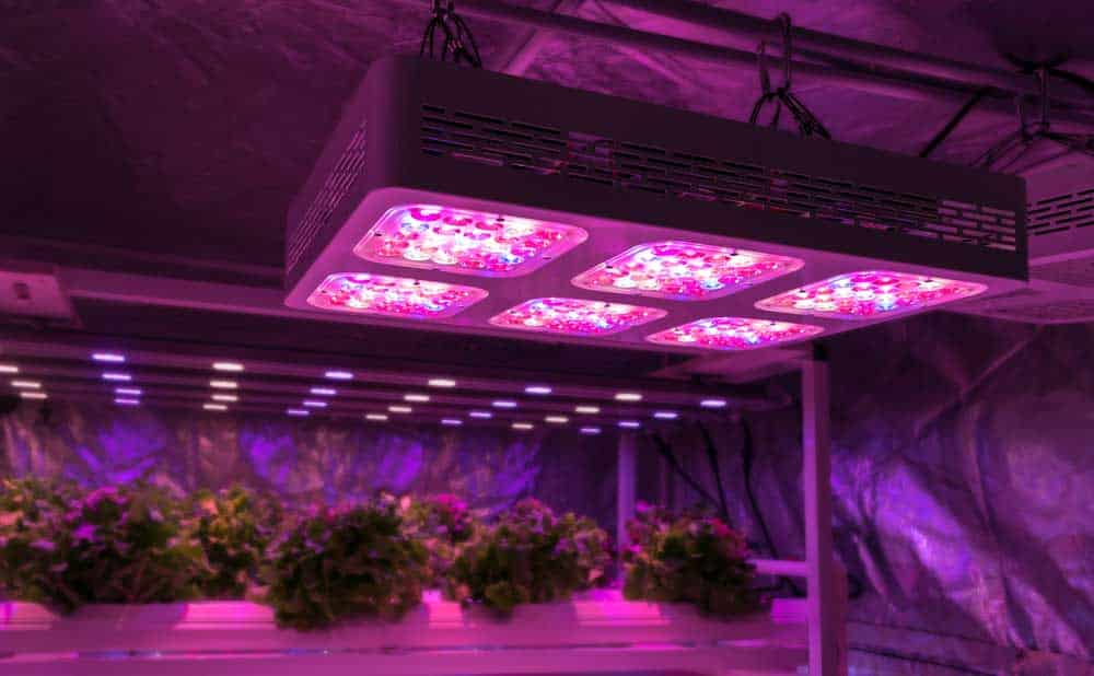 A smart indoor farm