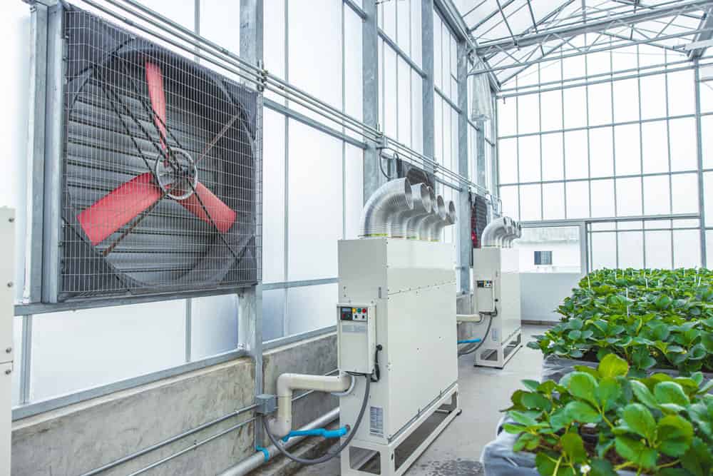 A greenhouse ventilator for heat dissipation