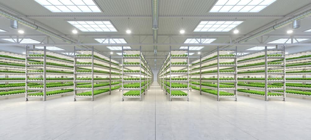 Inside an indoor vegetable factory using grow lights